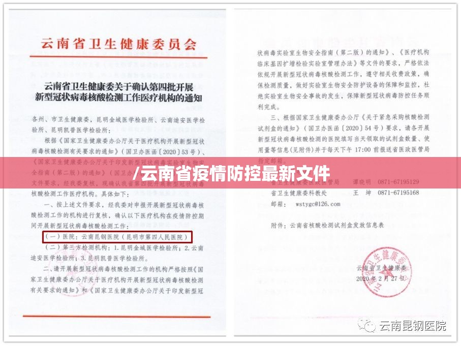 /云南省疫情防控最新文件