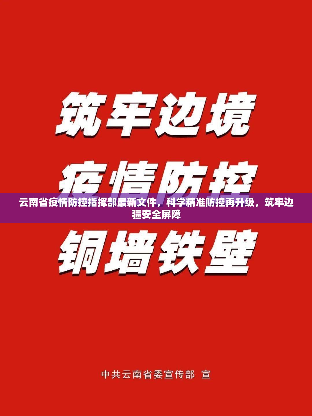 云南省疫情防控指挥部最新文件，科学精准防控再升级，筑牢边疆安全屏障