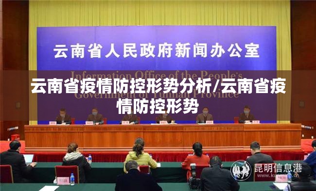 云南省疫情防控形势分析/云南省疫情防控形势