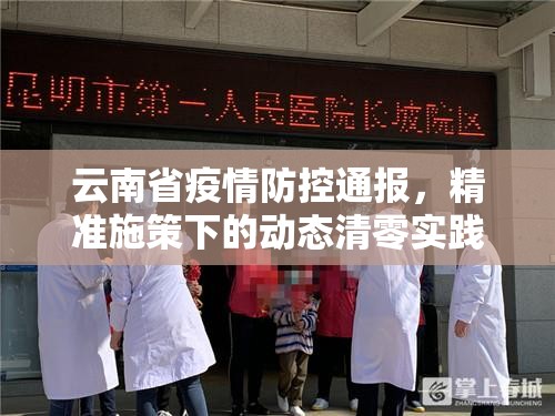 云南省疫情防控通报，精准施策下的动态清零实践与民生温度