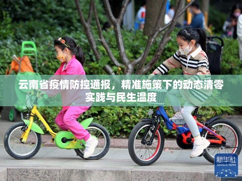 云南省疫情防控通报，精准施策下的动态清零实践与民生温度