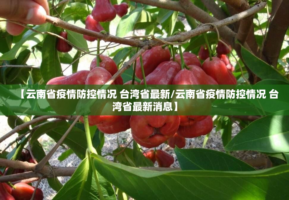 【云南省疫情防控情况 台湾省最新/云南省疫情防控情况 台湾省最新消息】