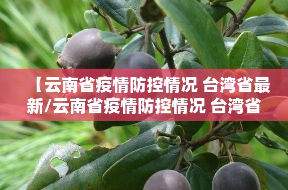 【云南省疫情防控情况 台湾省最新/云南省疫情防控情况 台湾省最新消息】
