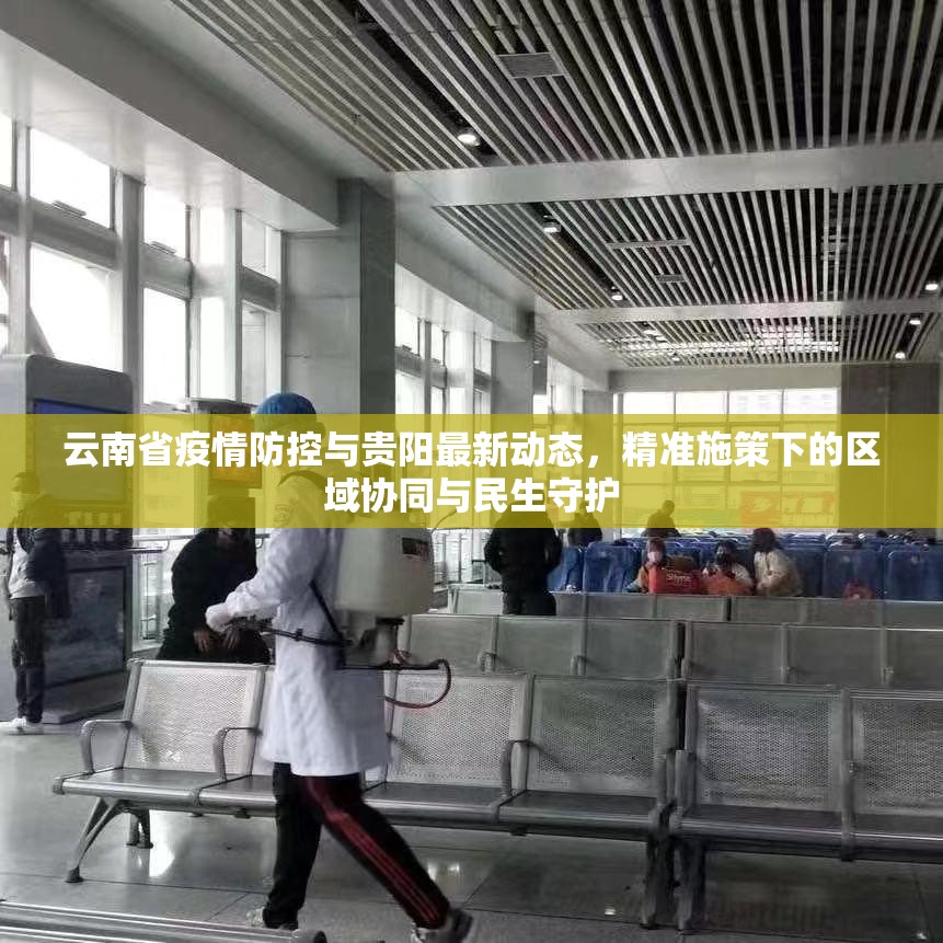 云南省疫情防控与贵阳最新动态，精准施策下的区域协同与民生守护