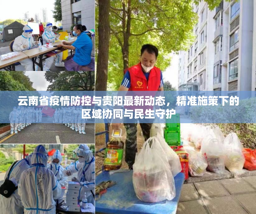 云南省疫情防控与贵阳最新动态，精准施策下的区域协同与民生守护