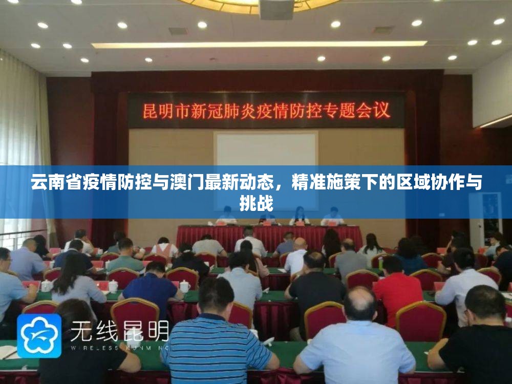 云南省疫情防控与澳门最新动态，精准施策下的区域协作与挑战