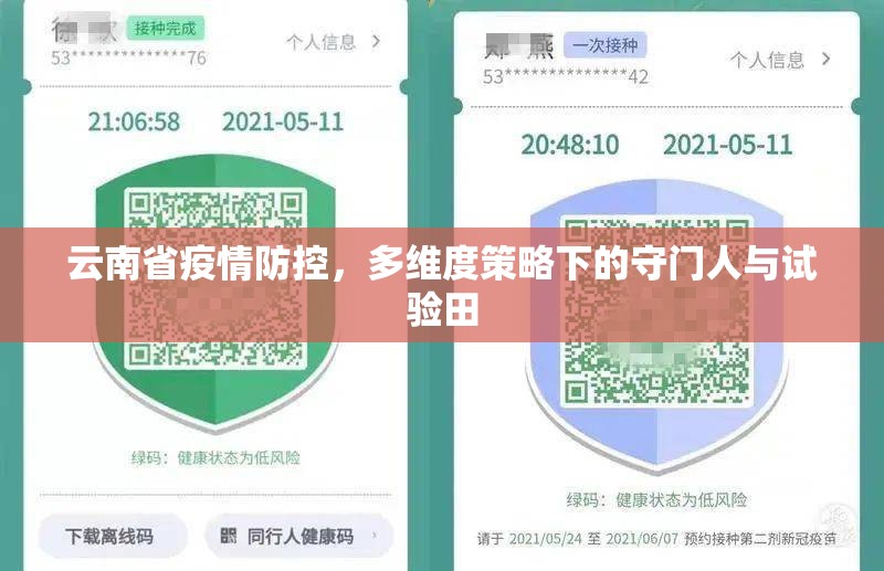 云南省疫情防控，多维度策略下的守门人与试验田