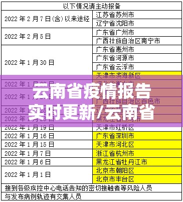 云南省疫情报告实时更新/云南省疫情报告实时