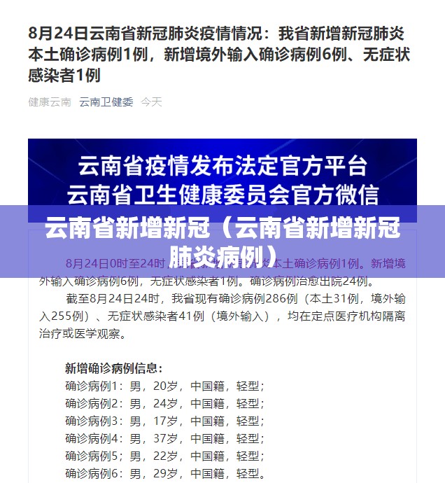 云南省新增新冠（云南省新增新冠肺炎病例）