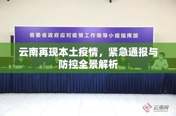 云南再现本土疫情，紧急通报与防控全景解析