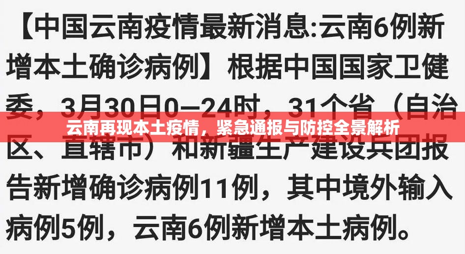云南再现本土疫情，紧急通报与防控全景解析