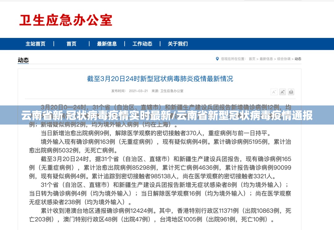 云南省新 冠状病毒疫情实时最新/云南省新型冠状病毒疫情通报