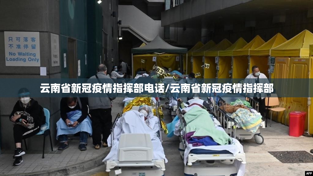云南省新冠疫情指挥部电话/云南省新冠疫情指挥部