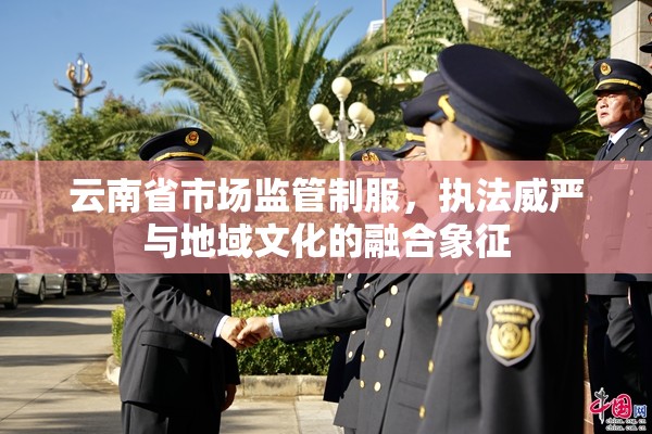 云南省市场监管制服，执法威严与地域文化的融合象征