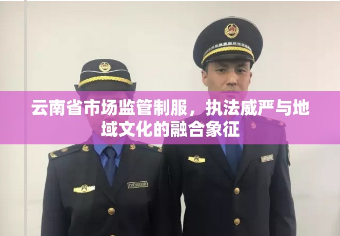云南省市场监管制服，执法威严与地域文化的融合象征