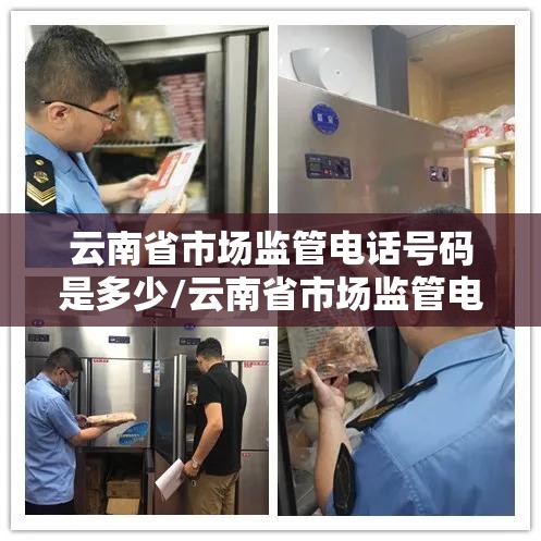 云南省市场监管电话号码是多少/云南省市场监管电话