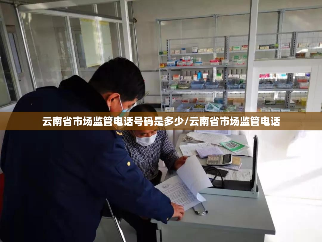 云南省市场监管电话号码是多少/云南省市场监管电话