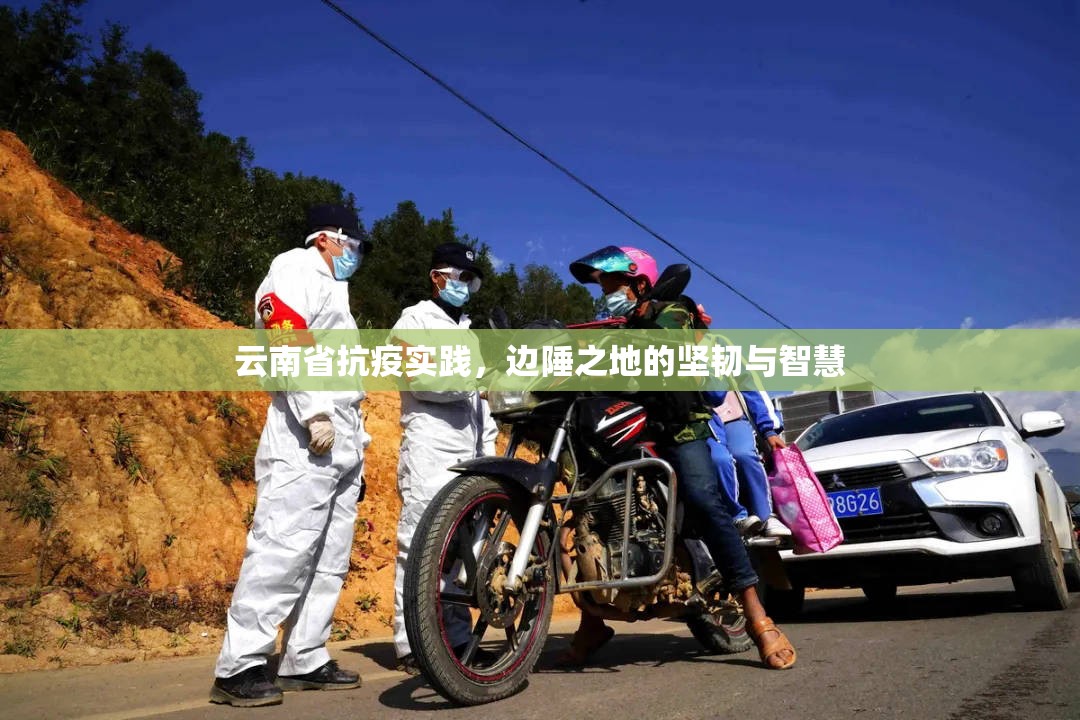 云南省抗疫实践，边陲之地的坚韧与智慧