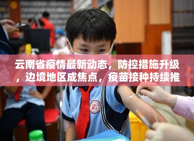 云南省疫情最新动态，防控措施升级，边境地区成焦点，疫苗接种持续推进