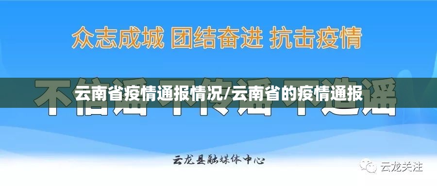 云南省疫情通报情况/云南省的疫情通报
