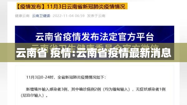 云南省 疫情:云南省疫情最新消息