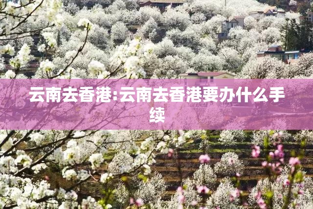 云南去香港:云南去香港要办什么手续