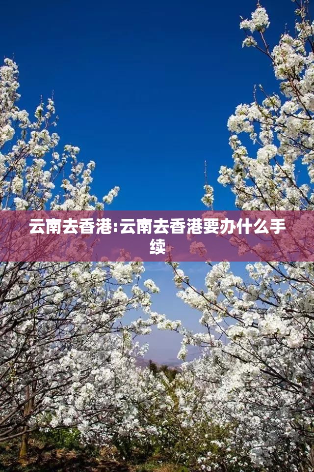 云南去香港:云南去香港要办什么手续