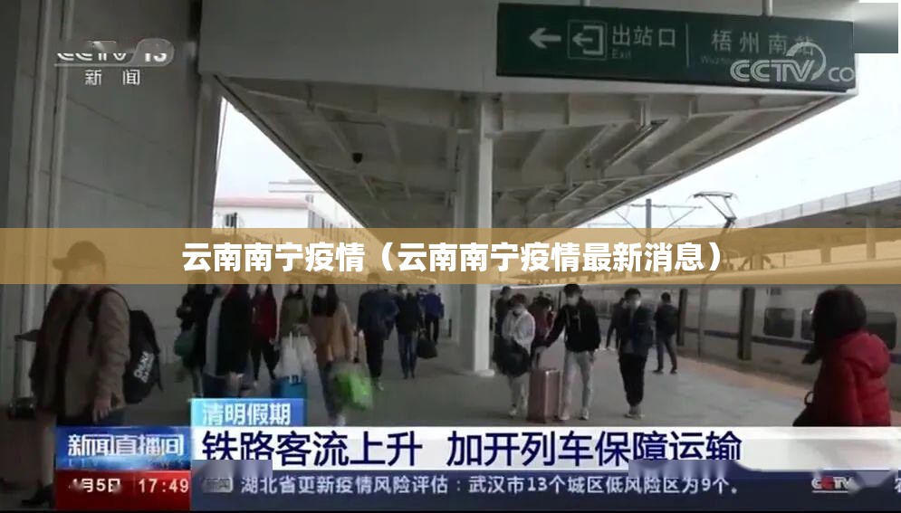 云南南宁疫情（云南南宁疫情最新消息）