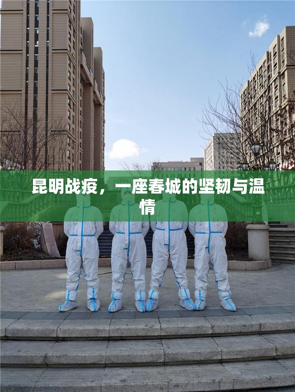 昆明战疫，一座春城的坚韧与温情