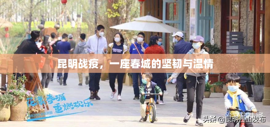昆明战疫，一座春城的坚韧与温情