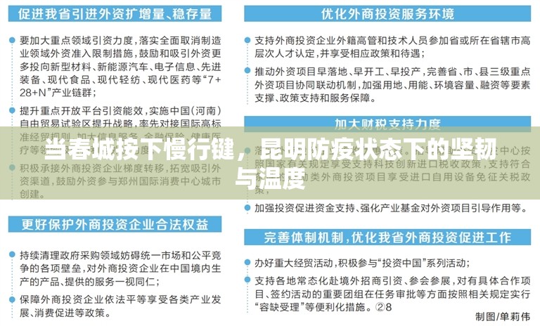 当春城按下慢行键，昆明防疫状态下的坚韧与温度