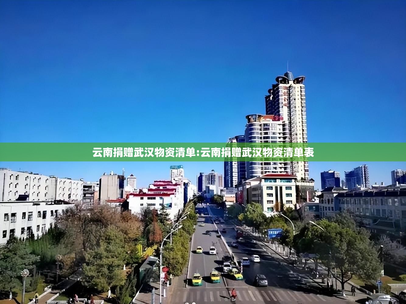 云南捐赠武汉物资清单:云南捐赠武汉物资清单表