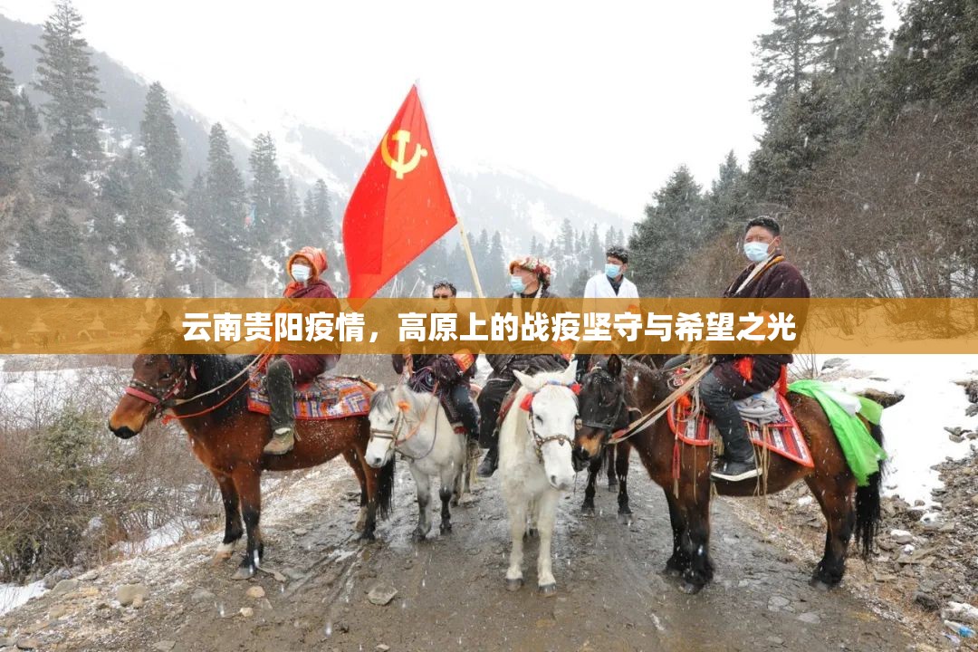 云南贵阳疫情，高原上的战疫坚守与希望之光