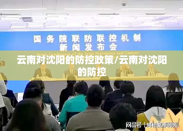 云南对沈阳的防控政策/云南对沈阳的防控