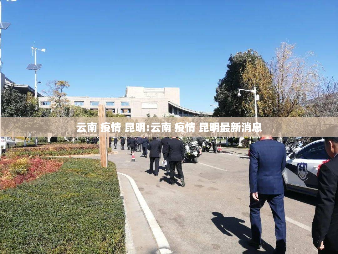云南 疫情 昆明:云南 疫情 昆明最新消息