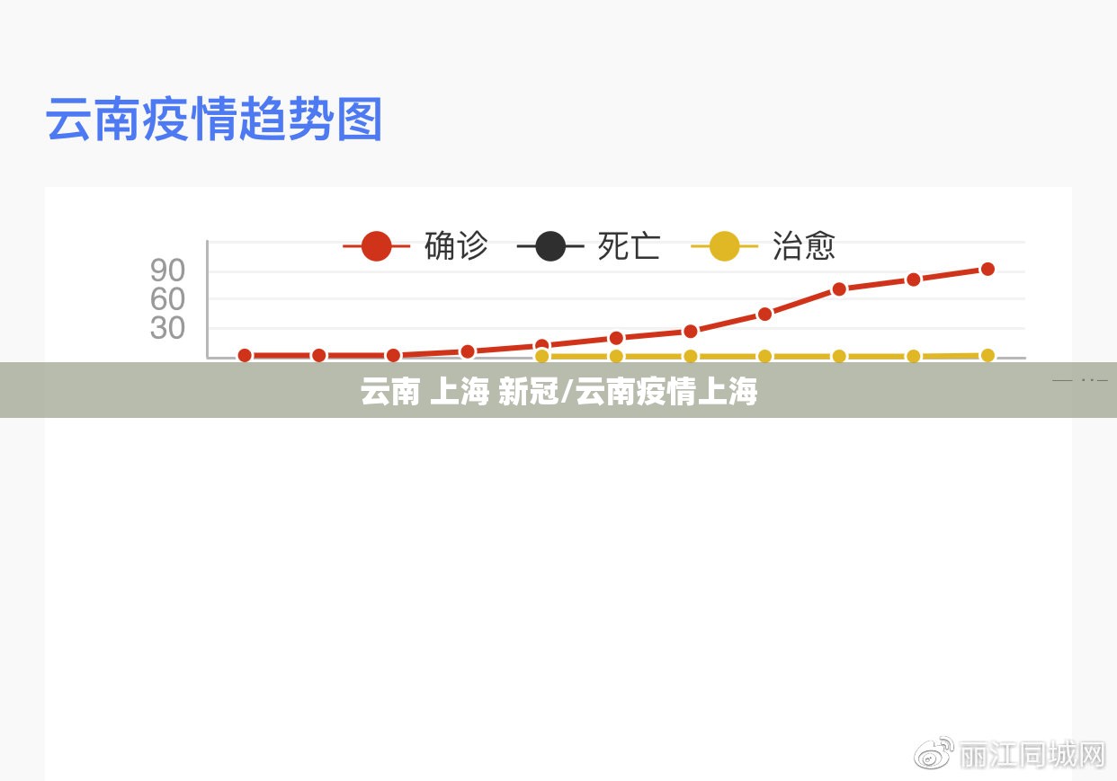 云南 上海 新冠/云南疫情上海