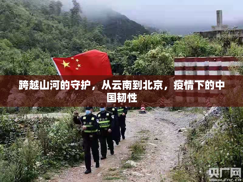 跨越山河的守护，从云南到北京，疫情下的中国韧性