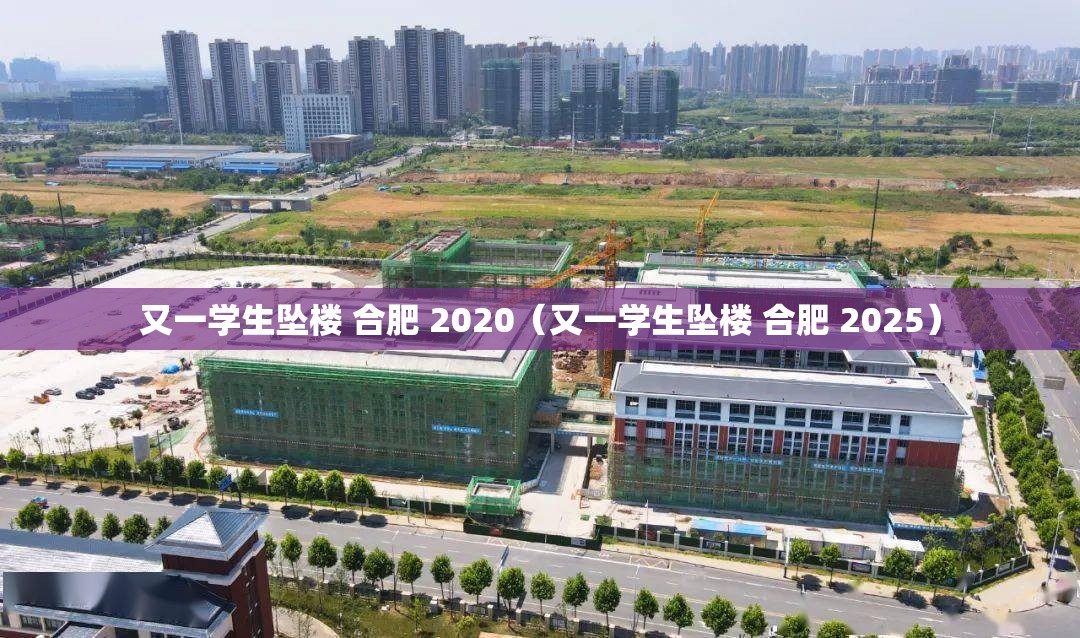 又一学生坠楼 合肥 2020（又一学生坠楼 合肥 2025）