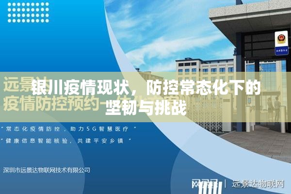 银川疫情现状，防控常态化下的坚韧与挑战