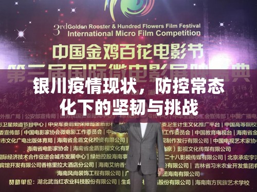 银川疫情现状，防控常态化下的坚韧与挑战