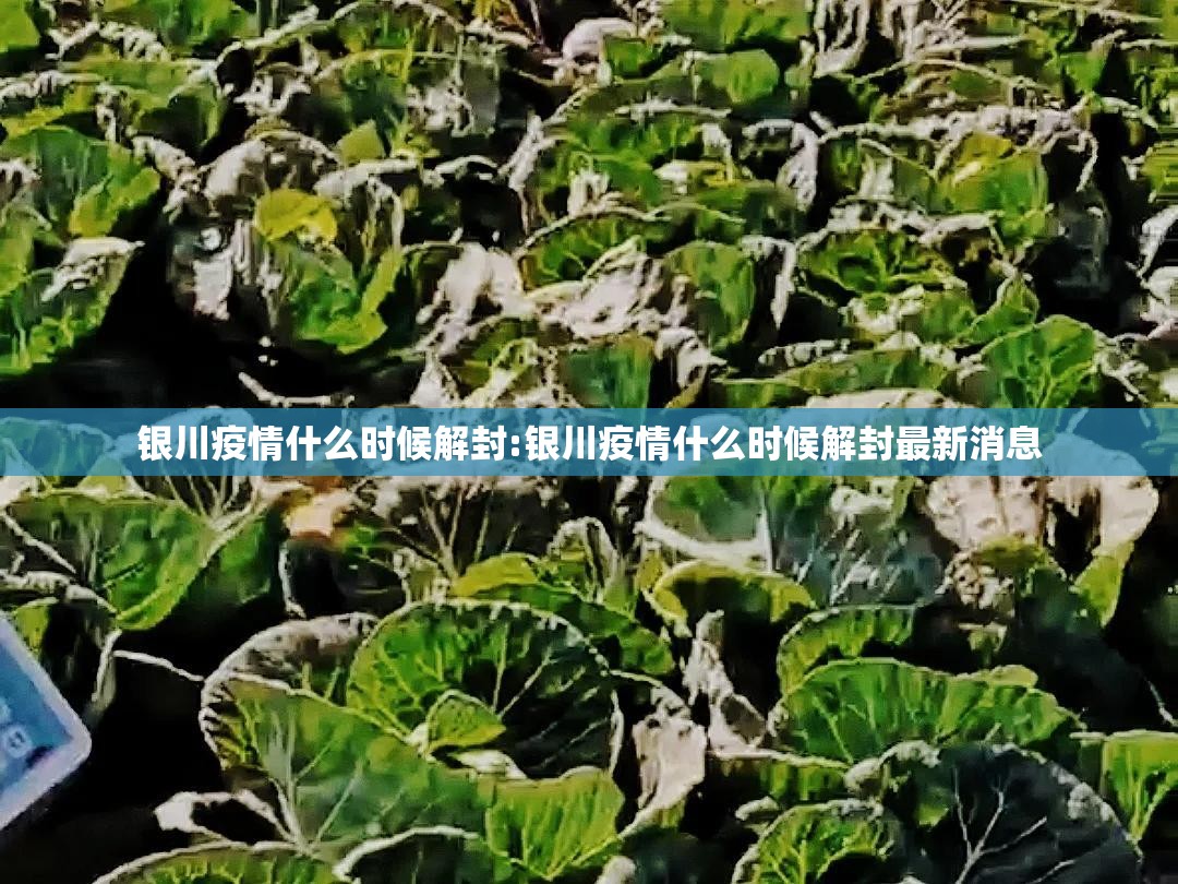 银川疫情什么时候解封:银川疫情什么时候解封最新消息