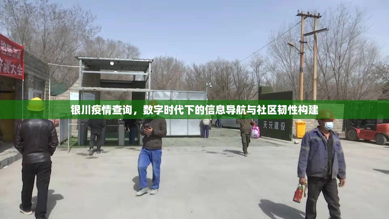 银川疫情查询，数字时代下的信息导航与社区韧性构建