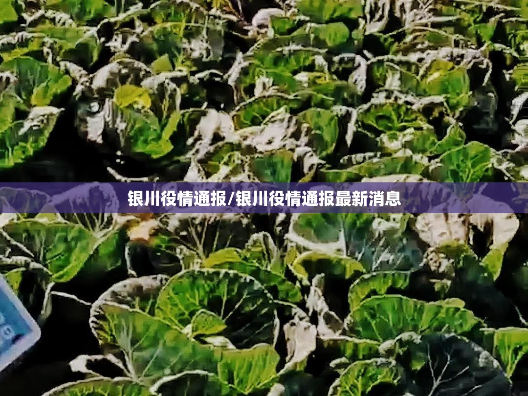 银川役情通报/银川役情通报最新消息