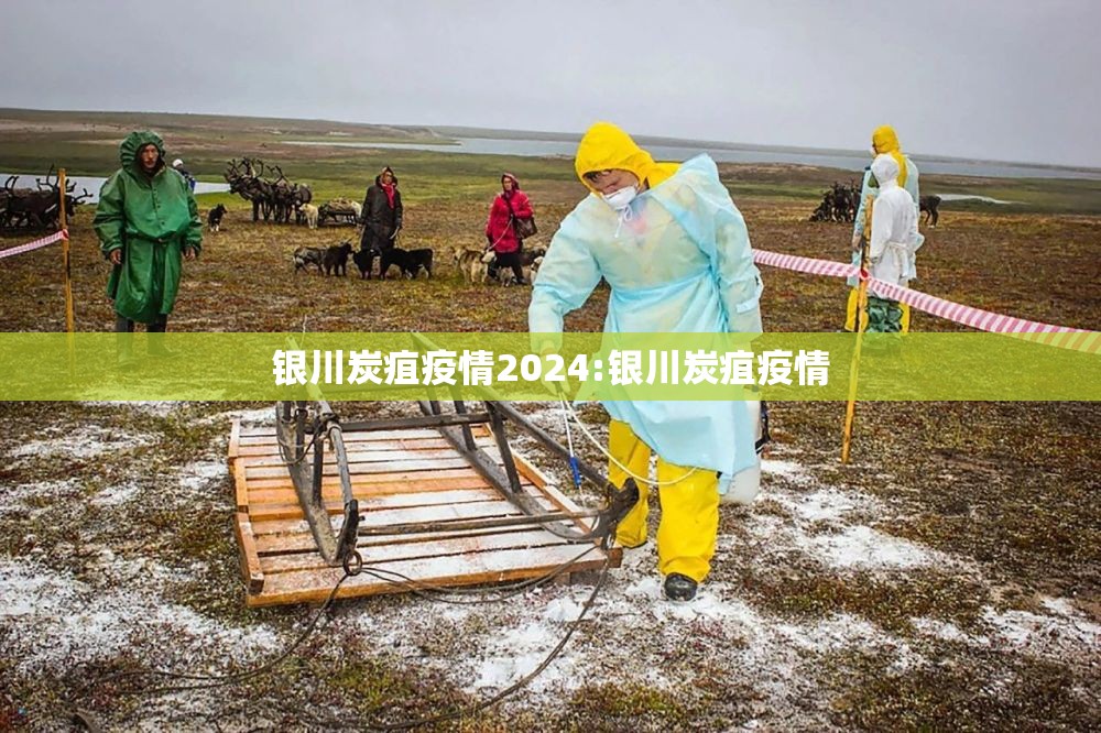 银川炭疽疫情2024:银川炭疽疫情
