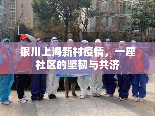 银川上海新村疫情，一座社区的坚韧与共济