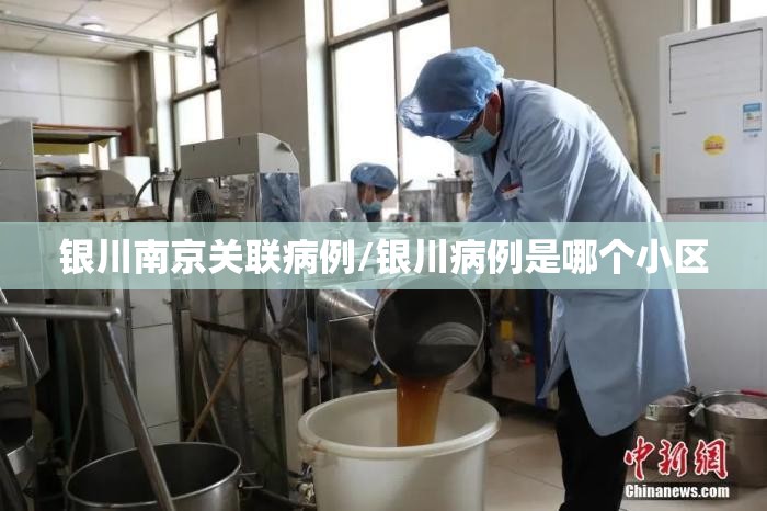银川南京关联病例/银川病例是哪个小区