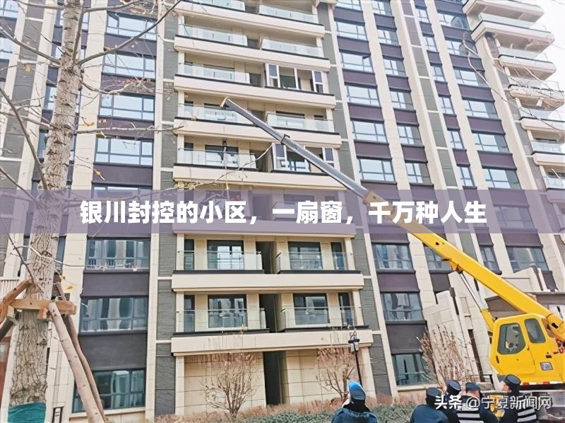 银川封控的小区，一扇窗，千万种人生